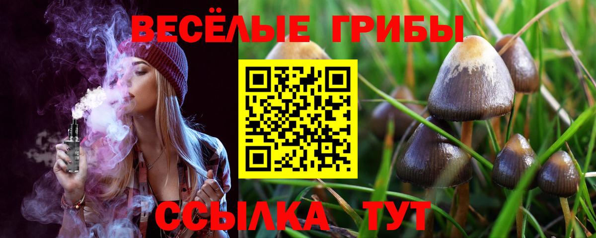Вологда  Псилоцибиновые грибы прущие грибы  Вход с VPN 